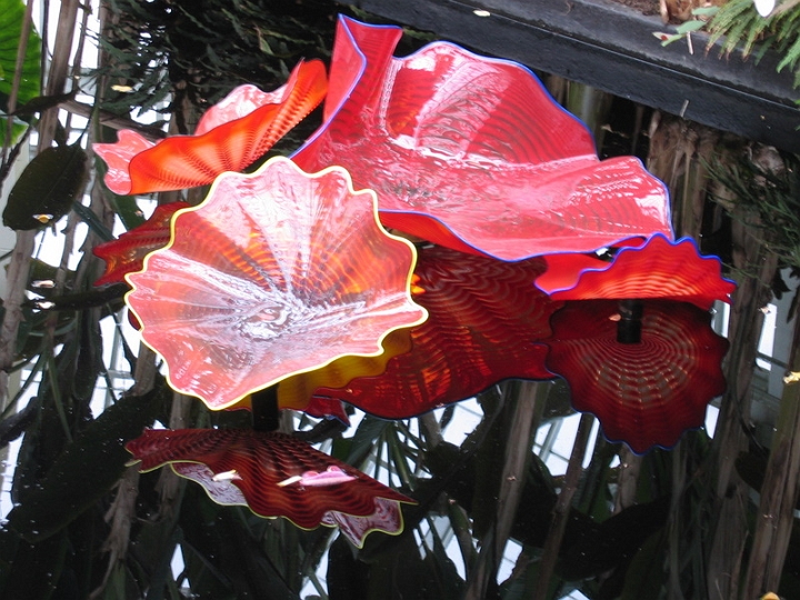 IMG_5741 Dale Chihuly art at Pittsburgh Phipps Conservatory.jpg